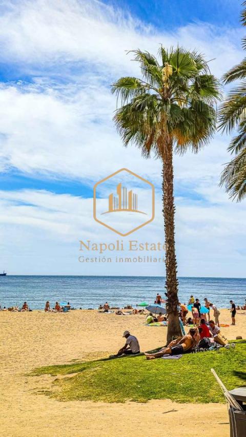 NAPOLI ESTATE presenta oportunidad de inversión con alta rentabilidad en La Malagueta